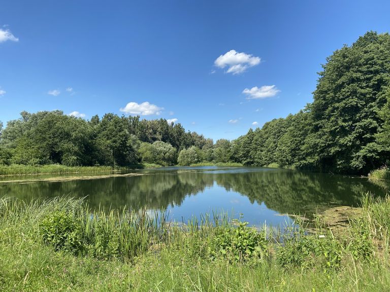 Erholungsgebiet Mühlwasser