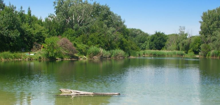 Erholungsgebiet Mühlwasser