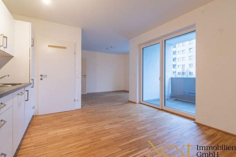 Wohn- und Essbereich I