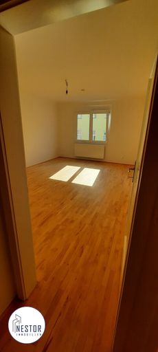 Wohnung - NESTOR Immobilien