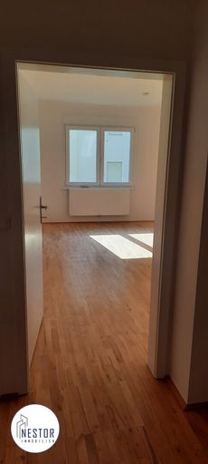 Wohnung - NESTOR Immobilien