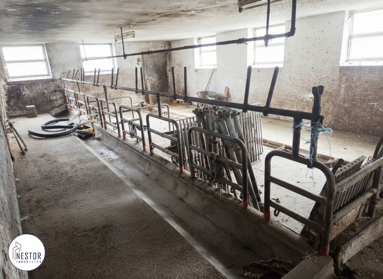 Haus - NESTOR Immobilien