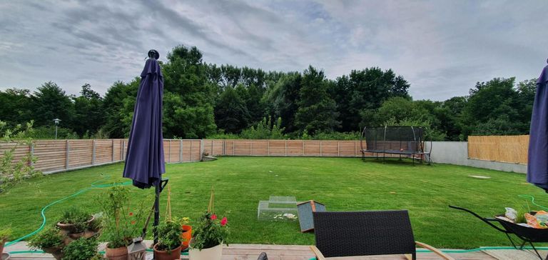 Foto vom Abgeber zur Verfügung gestellt (4)