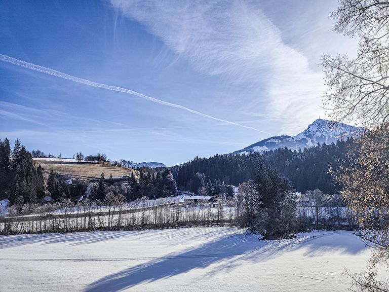 Ausblick vom Südbalkon bzw. Terrasse