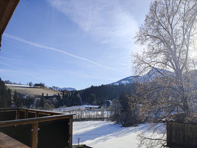 Südbalkon bzw. Terrasse