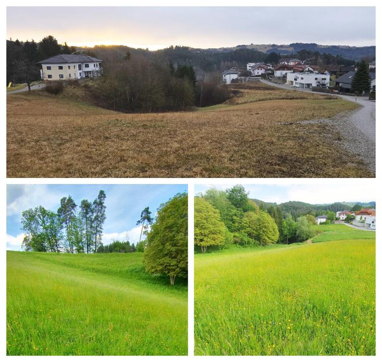Grundstück