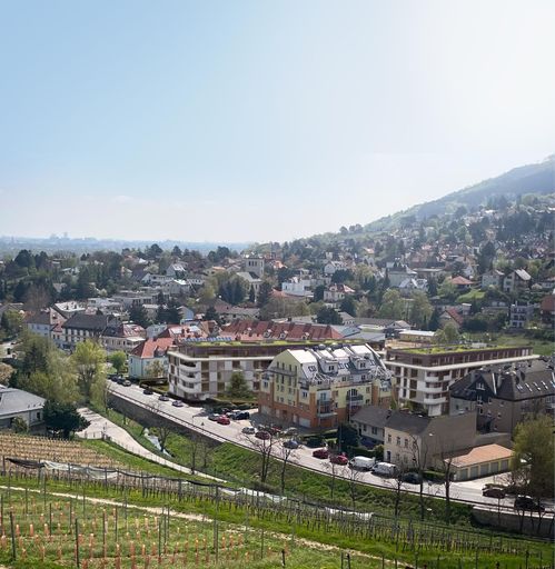 Schaubild Schwarzes Kreuz