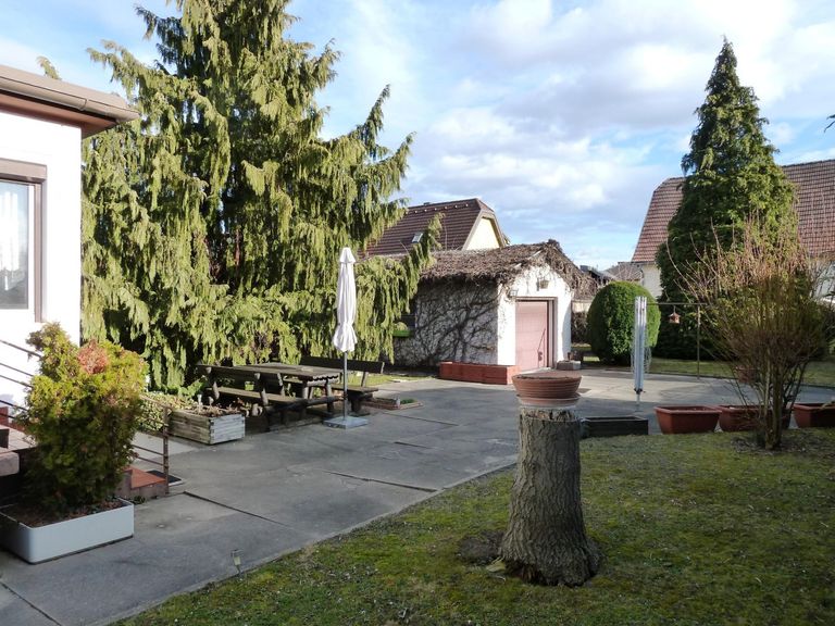 8 DHH 2000 Stockerau