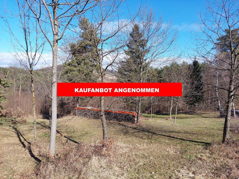 KAUFANBOT ANGENOMMEN