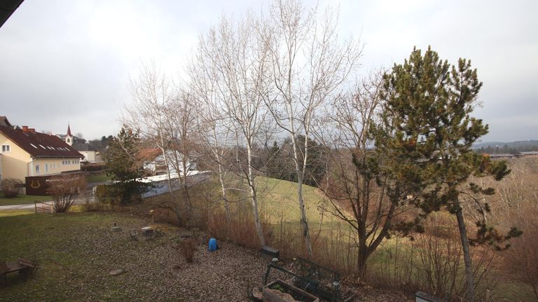 Aussicht i.d. Gemeinschaftsgarten