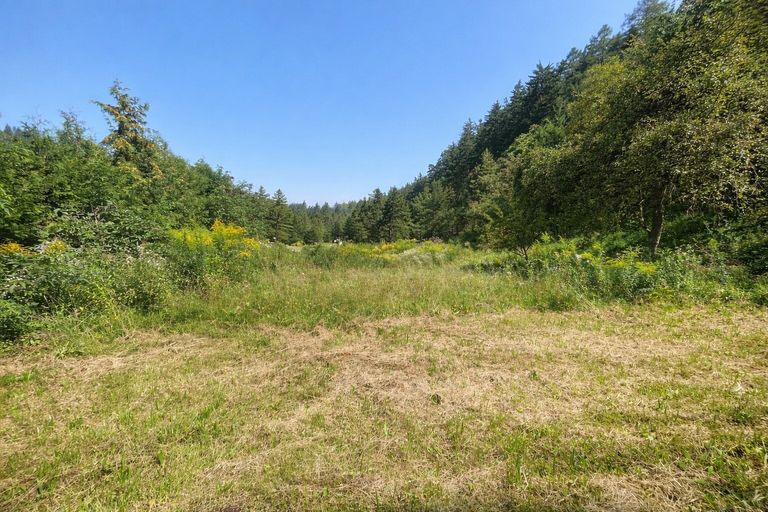 KI generierte Ansicht ohne Gebäude im Hintergrund