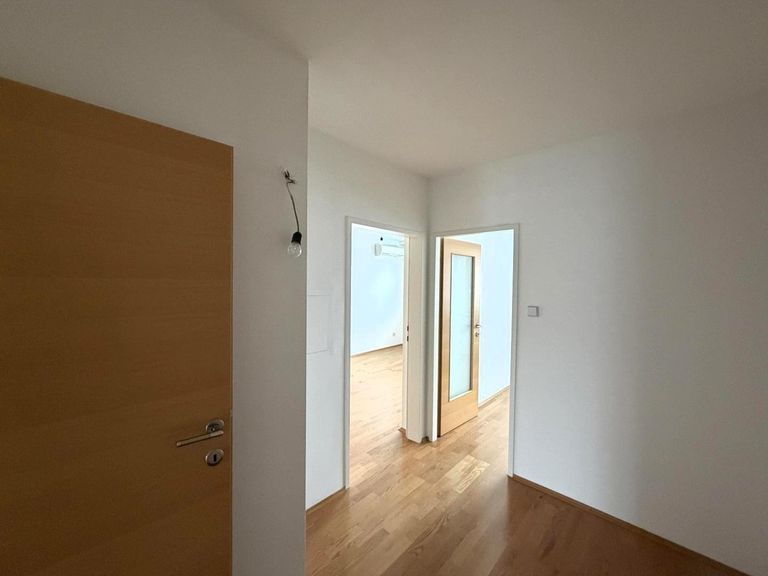 Eingang / Verbidungsflur