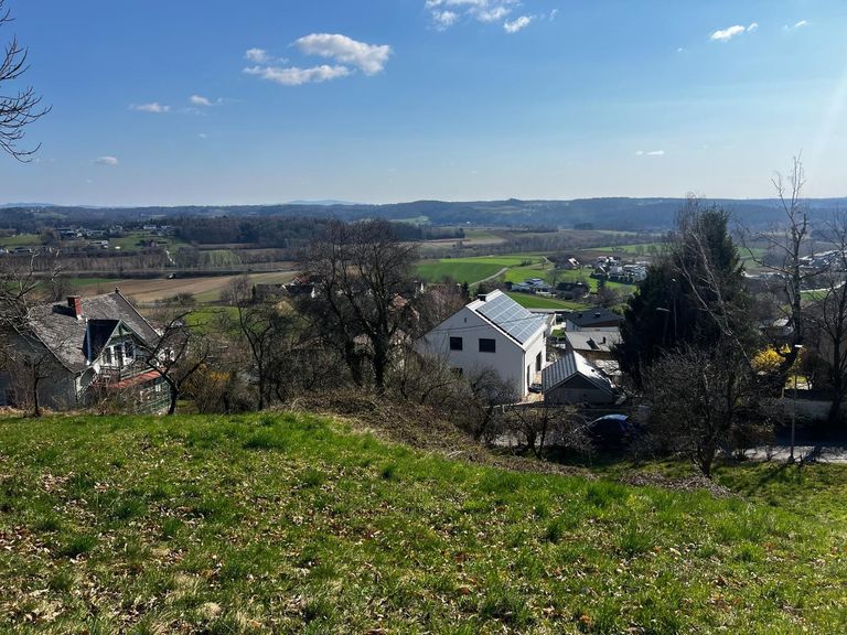 Obere Hanglage