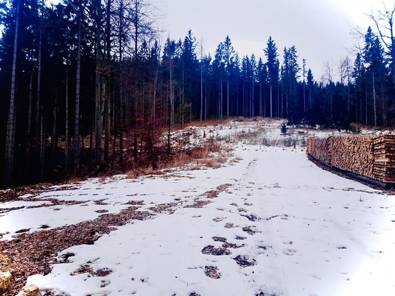 Wege zum Bewirtschaften