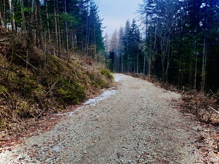 gute Erschließungswege