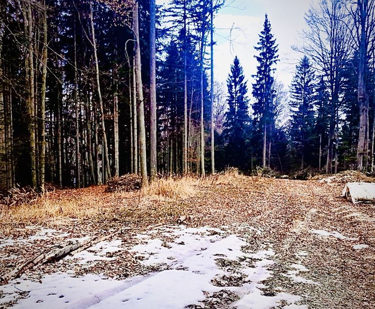 Wege zur Bespielung und Bewirtschaftung _LKW-tauglich