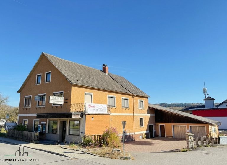 Ansicht Straßenseite und Zufahrt