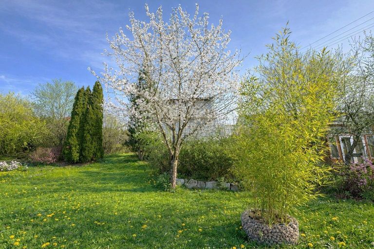 Baugrund Straßham / Alkoven