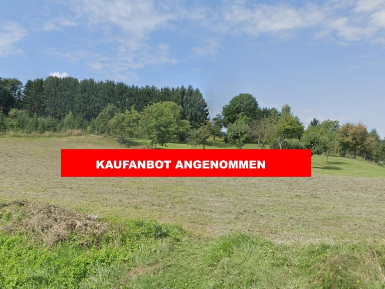 KAUFANBOT ANGENOMMEN