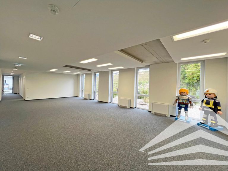 Großraumbüro Beispiel