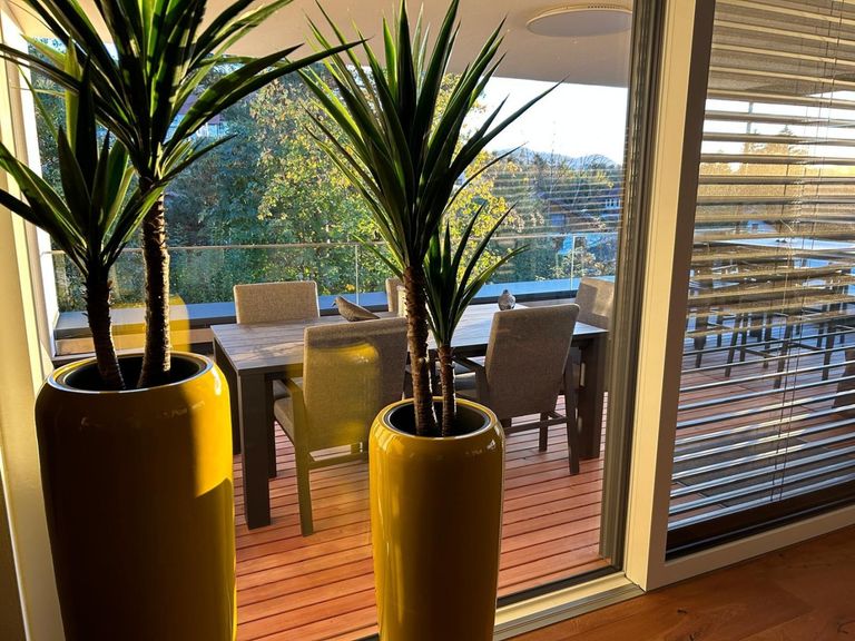 PHOTO-2024-12-04-08-05-33