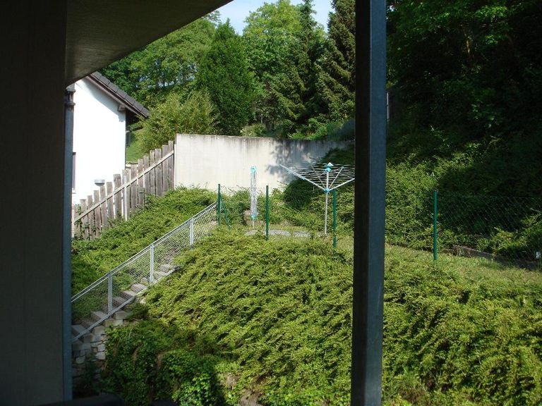 Ausblick ins Grüne