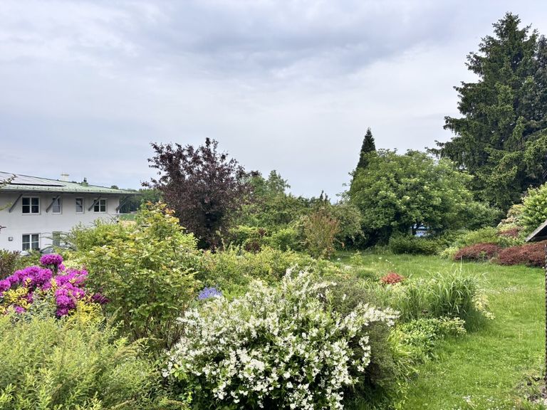 Garten - Grundstück