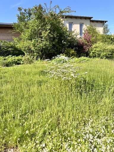 Garten - Grundstück