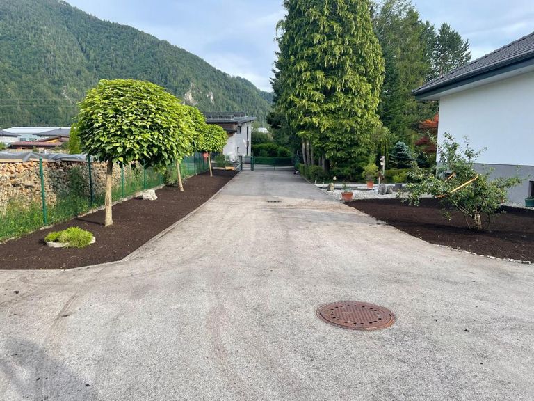 TOP Zufahrt und alles eingefriedet