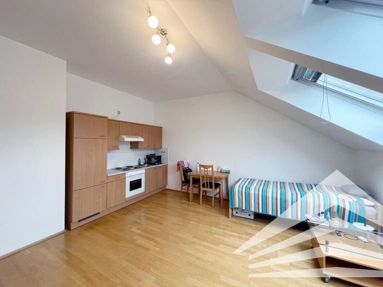 Wohn-/Ess-/Schlafbereich