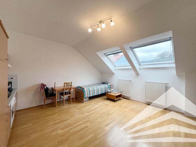 Wohn-/Ess-/Schlafbereich