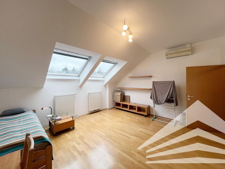 Wohn-/Ess-/Schlafbereich