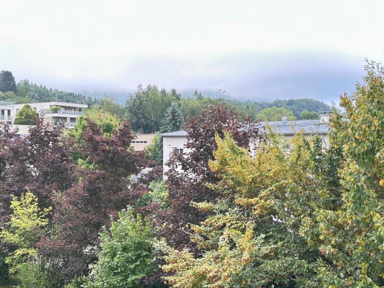 PHOTO-2025-09-11-10-02-35 (5)