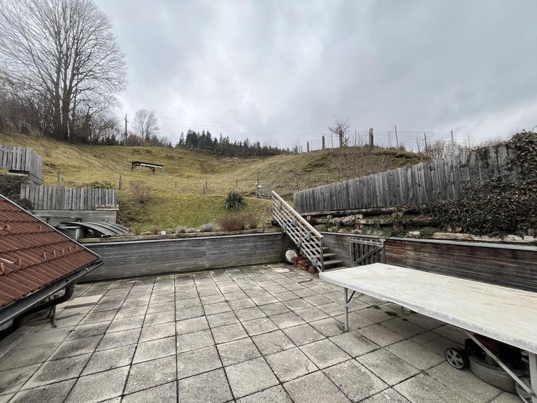 Aussenansicht - Terrasse und Garten