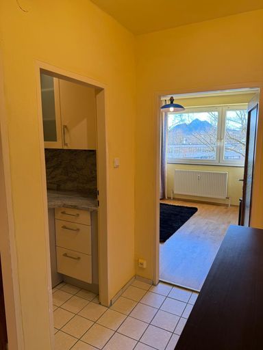 Vorraum, Küche, Wohnzimmer