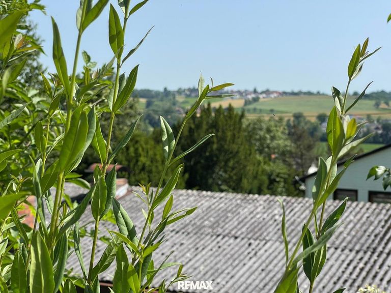 Ausblick