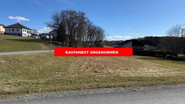 KAUFANBOT ANGENOMMEN