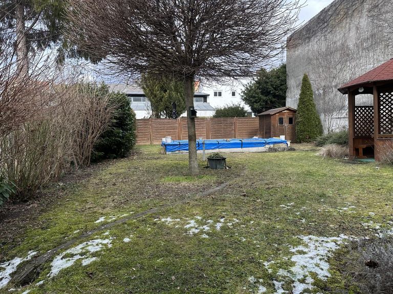 Blick in den Garten 1. jpeg