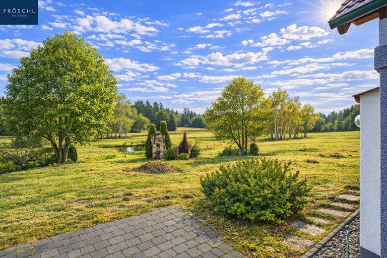 Blick auf die Weide v2