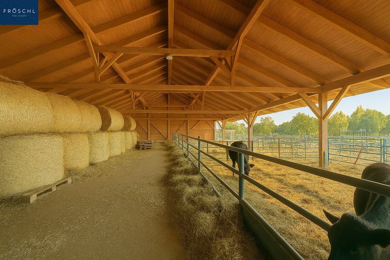 Stallgebäude Innebereich - Pic 1