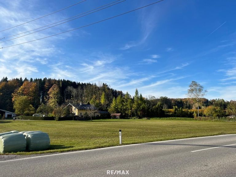 direkt an der Almsee-Panoramastraße