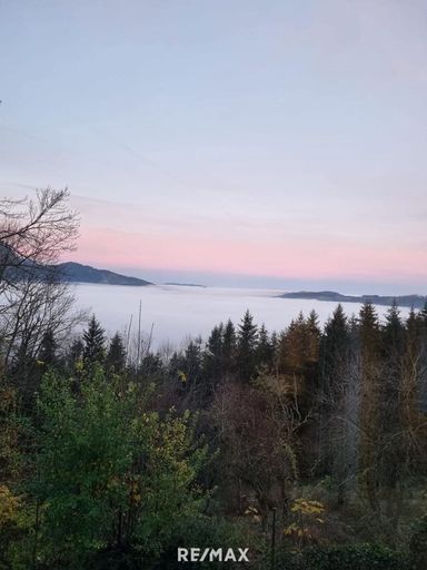 beinahe nie im Nebel