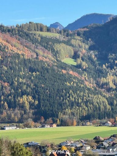 am Berg auf einer großen Lichtung alleine WOHNEN