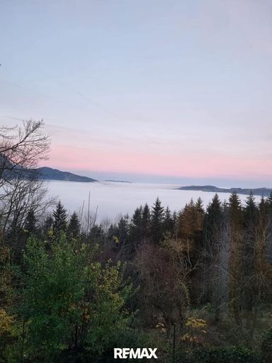 beinahe nie im Nebel