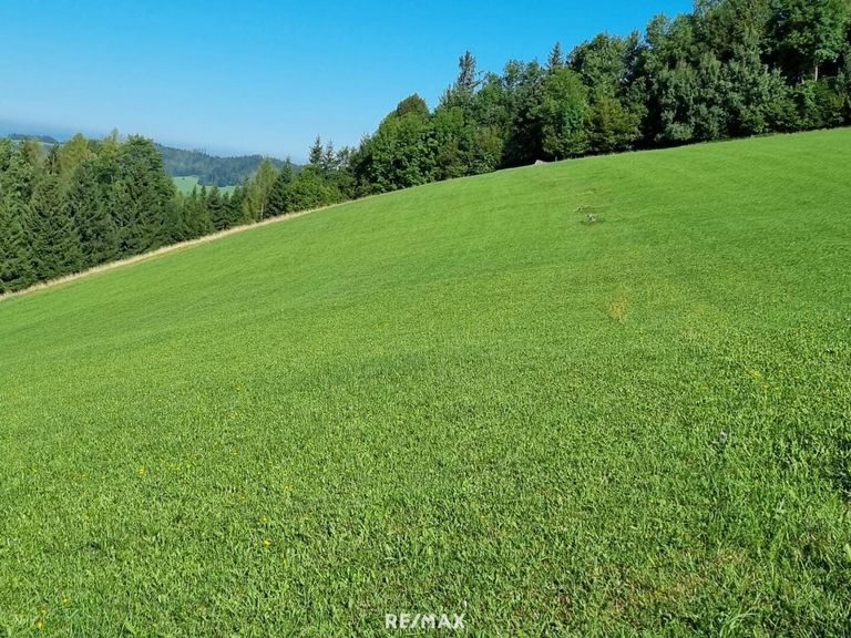 grüne Wiesen für Ihre Schafe und Ziegen