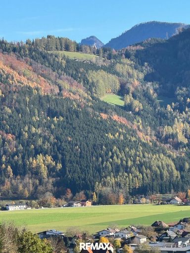 am Berg auf einer großen Lichtung alleine WOHNEN