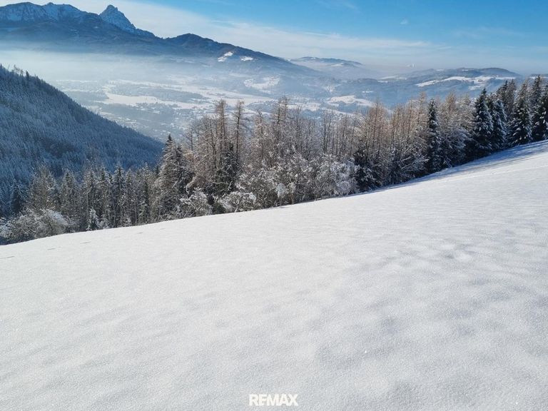 Winter-Wonder-Land