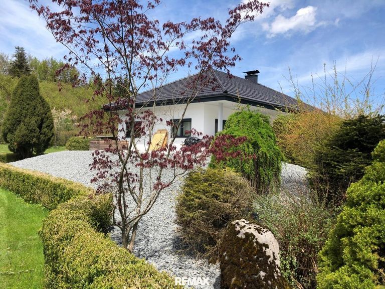 schöner, gepflegter Garten