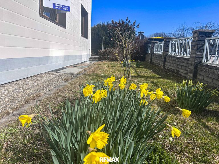 Der Frühling kommt....