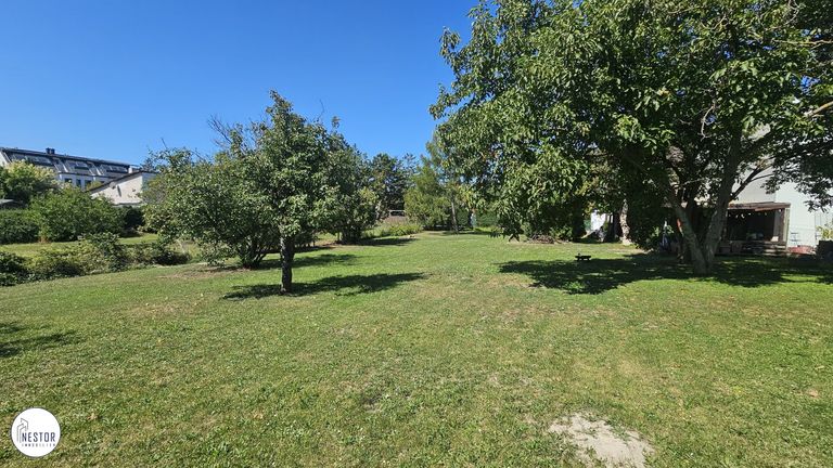 Grundstück - NESTOR Immobilien